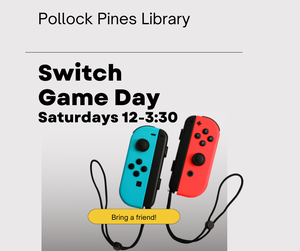 PP - Nintendo Switch